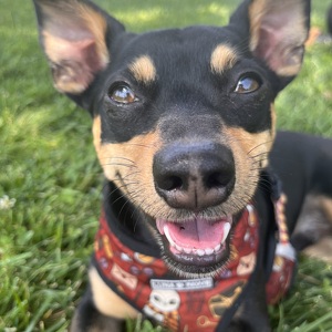 Fundraising Page: Sami Bell